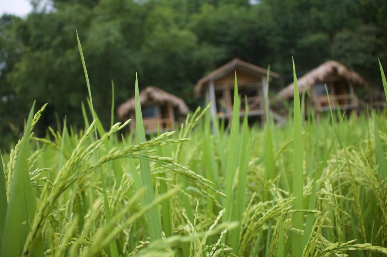 Little Mai Chau Home Stay Εξωτερικό φωτογραφία