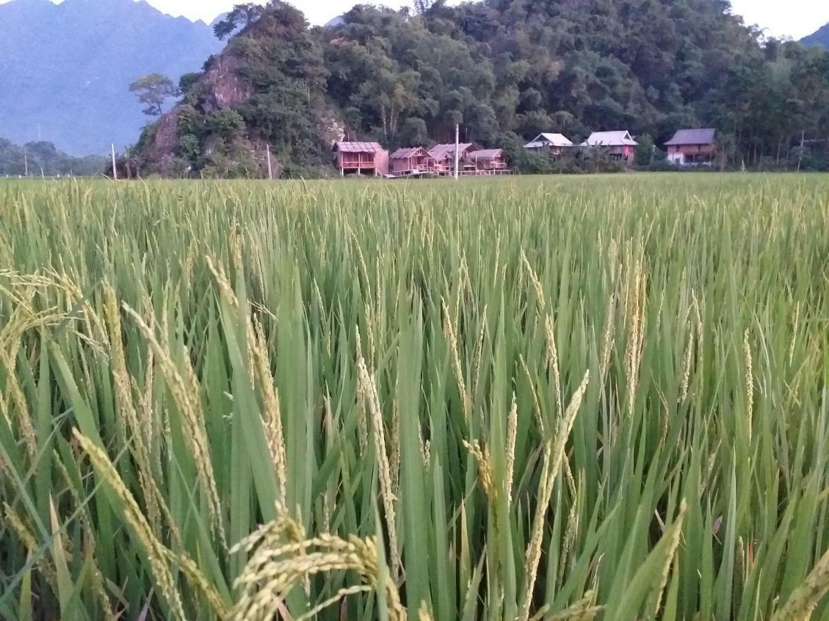 Little Mai Chau Home Stay Εξωτερικό φωτογραφία